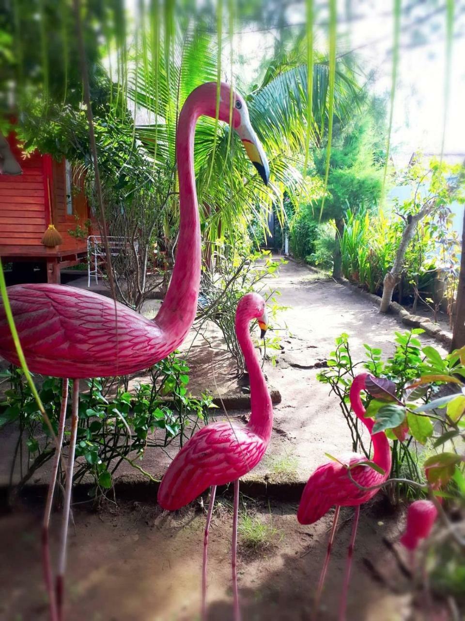 Damai Bungalows Gili Air Buitenkant foto
